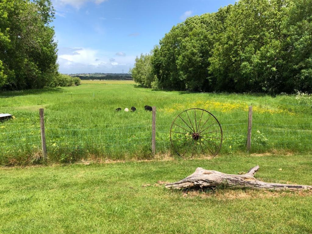 Littlemead - Newly Renovated Private Studio Near Glastonbury Exterior photo