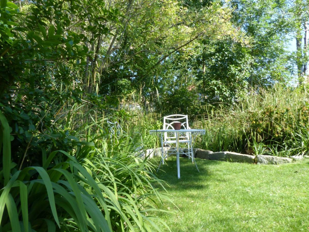 Littlemead - Newly Renovated Private Studio Near Glastonbury Exterior photo