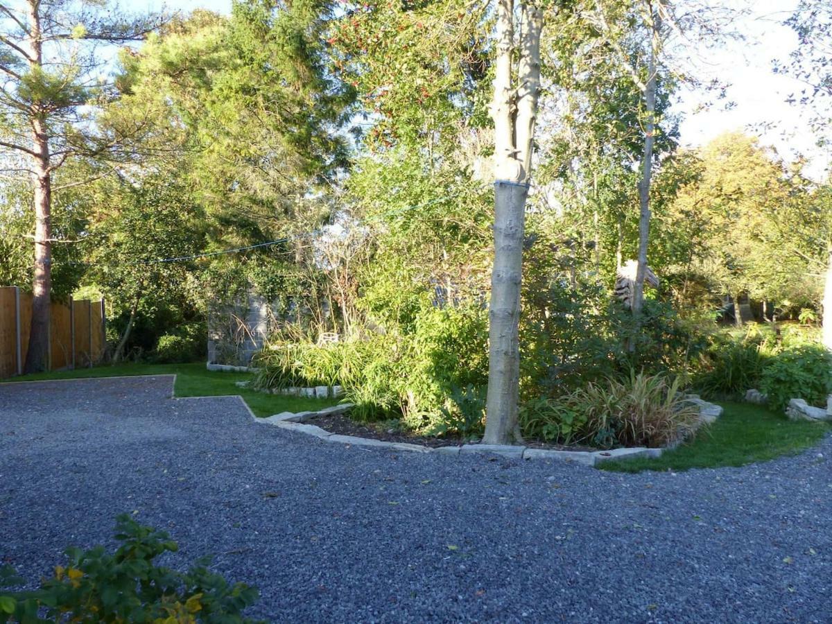 Littlemead - Newly Renovated Private Studio Near Glastonbury Exterior photo
